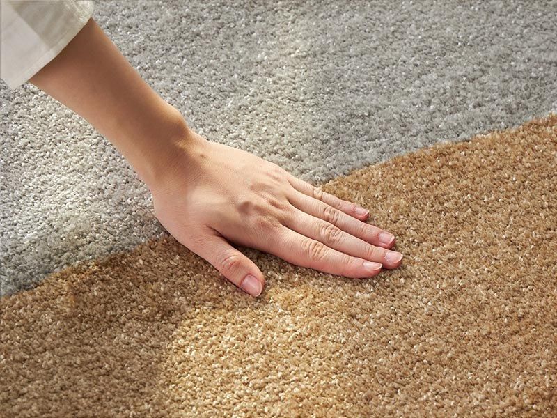 ナイロン100％でさらさら！曲線デザインがおしゃれなモダンテイスト