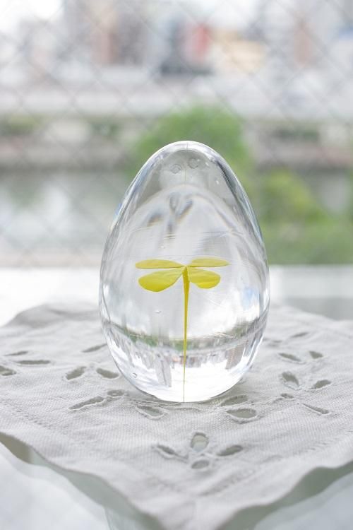 イイノナホ - Porta nova online store