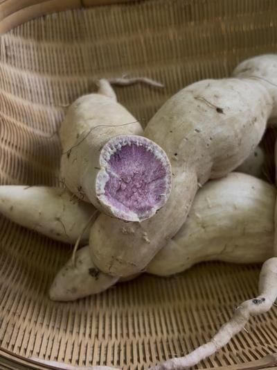 むらさき芋（種子島紫）(1kg) - 自然栽培の農産物（農薬・肥料・除草剤