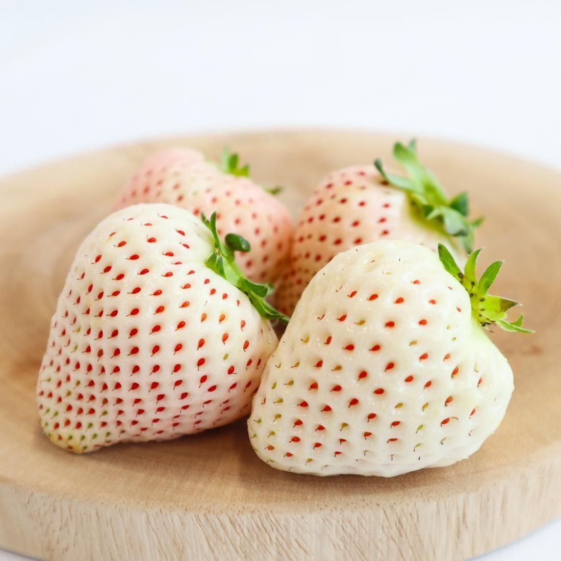 白いちご | 予約販売 - 【かごしまぐるり】鹿児島の名物・特産品を通販