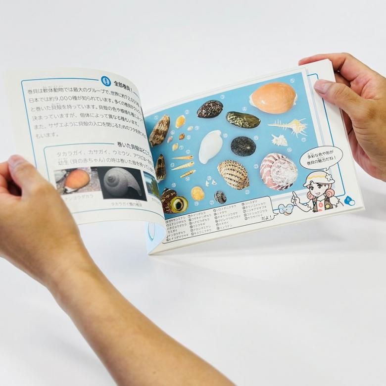 絵本 巻貝 ふしぎ カタツムリ 飼育員監修 オリジナル 夏休み 学習 教材