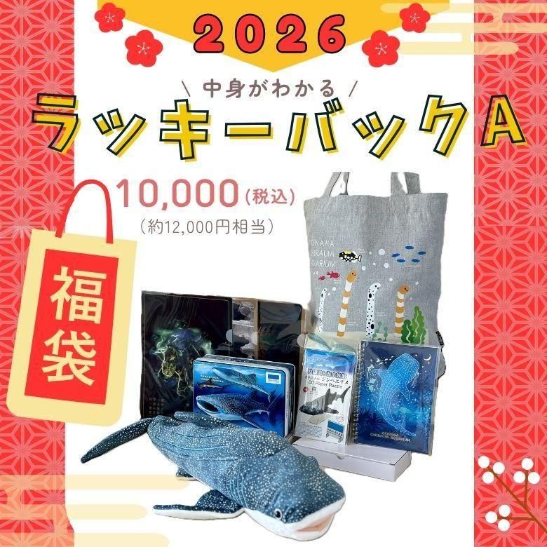数量限定 福袋 ラッキーバックA 2026 当たり付福袋