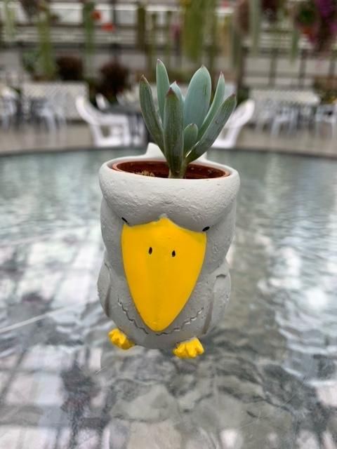 リトルレジンポットハシビロコウ - 掛川花鳥園公式通販サイト FBPshop