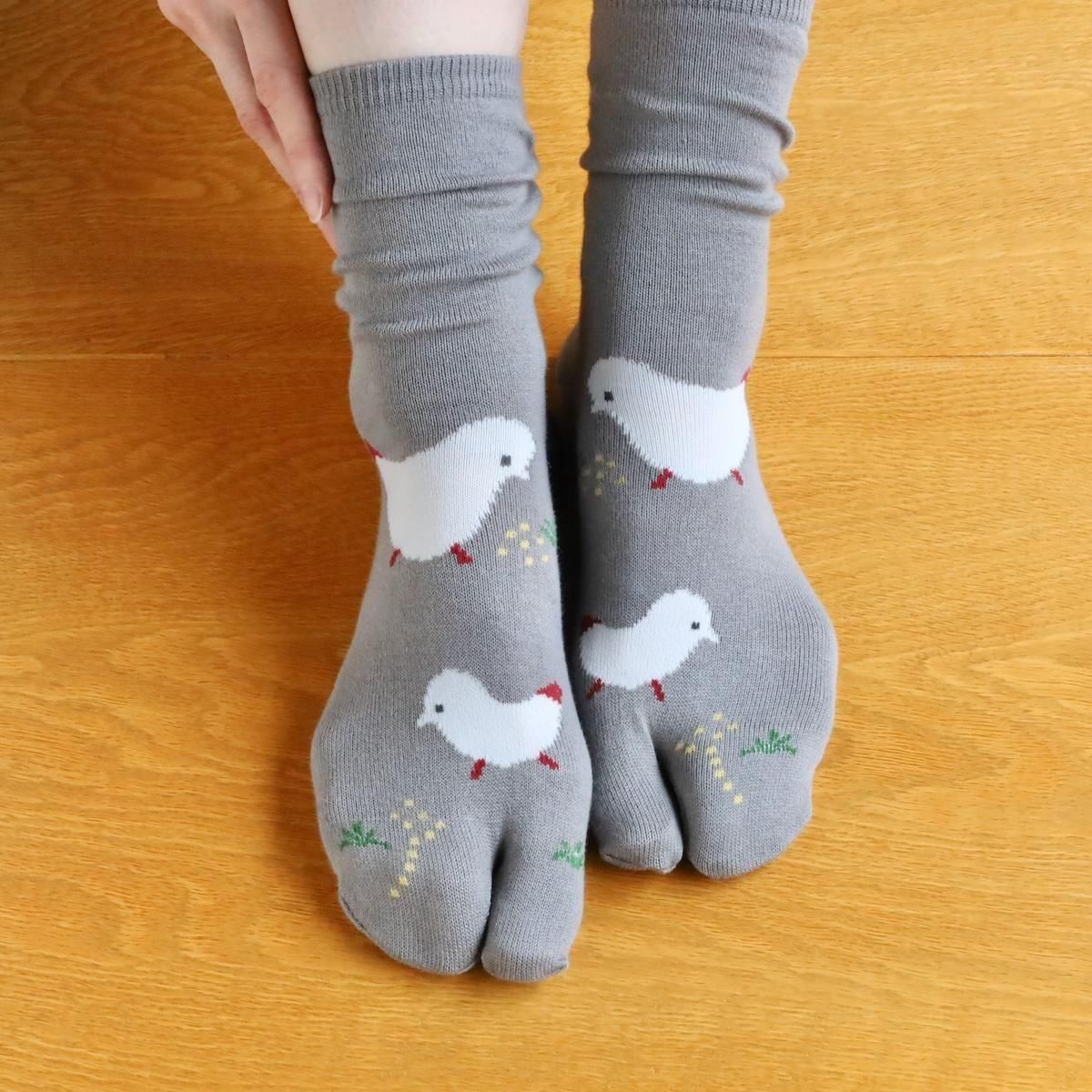 絵足袋・レディース - ギャラリー遊形 オンラインストア｜京都「俵屋