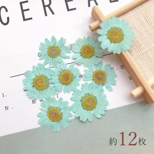 ノースポールｰ* オマケがたくさんついてくるパーツ屋さん* 隠れ工房