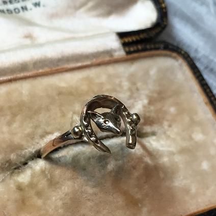 Victorian Fox Horse Shoe Antique Ring （ヴィクトリアン キツネ