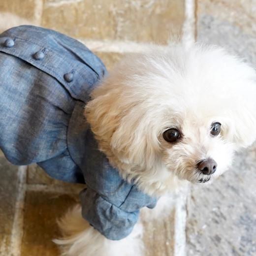 ギャザーフレンチブラウス(ID) - 「ブルーブルーブルー blue bleu