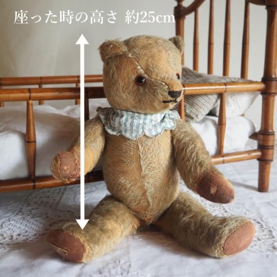 アンティーク テディベア | イギリス チャドバレー マグナベア