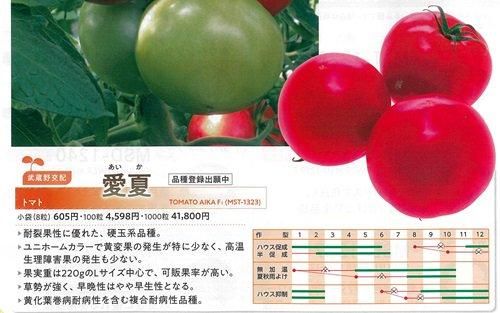 愛夏（品種登録出願中） - オガワのタネ オンラインショップ