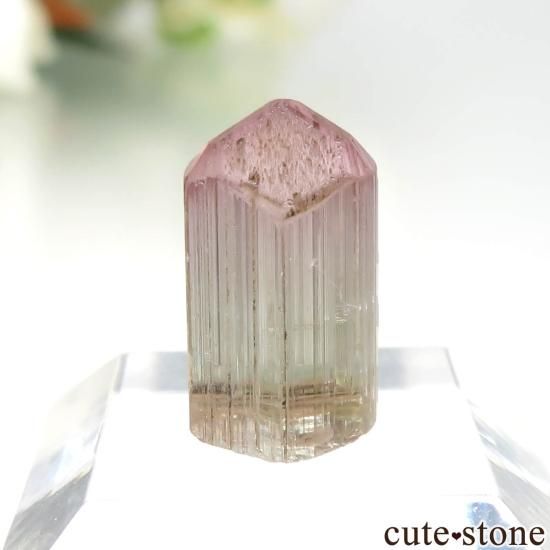 アメリカ カリフォルニア Himalaya Mine産 ピンク×グリーントルマリン