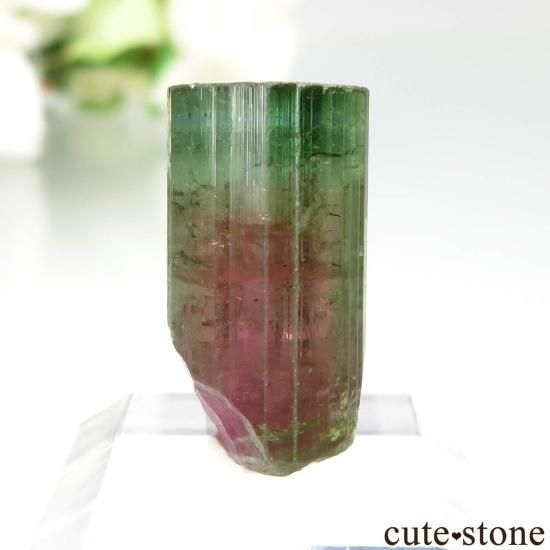 ブラジル Jenipapo産 ウォーターメロントルマリンの原石 No.2 - cute