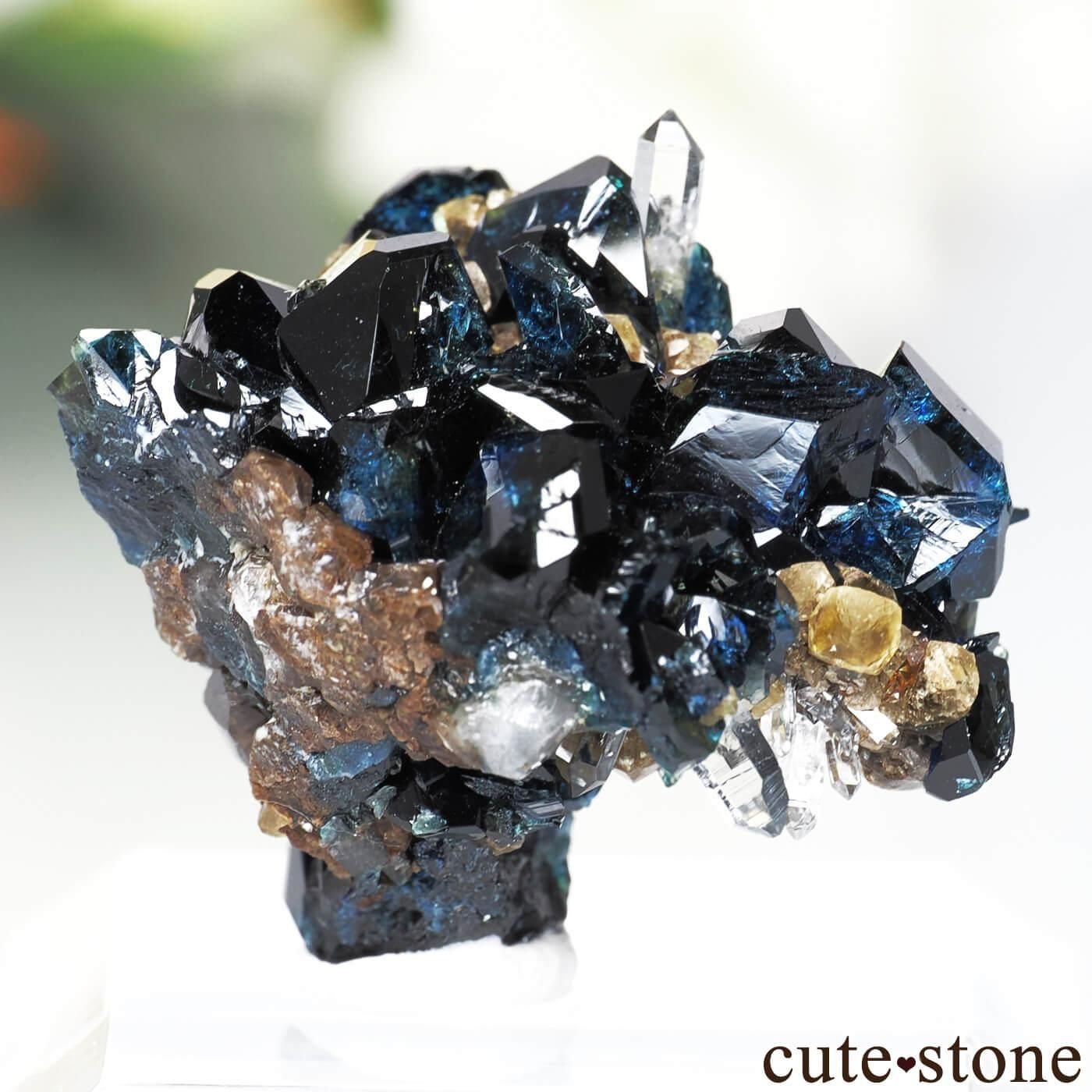 カナダ ユーコン ラピッドクリーク産 ラズライト(天藍石)＆シデライト