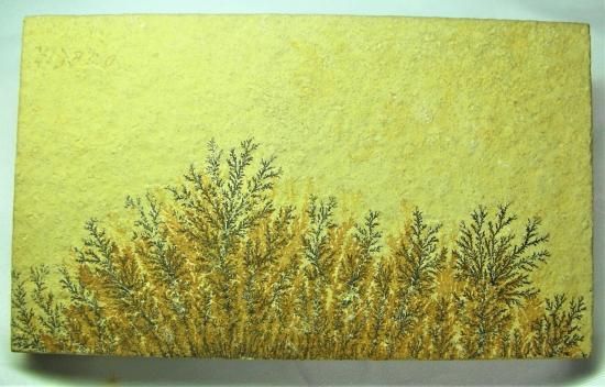 デンドライト(しのぶ石)