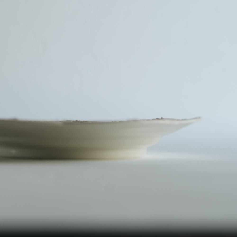 2021年3月) 佐々木忍 メリーゴーランド φ21cm ピンク S3 - 作家さんの