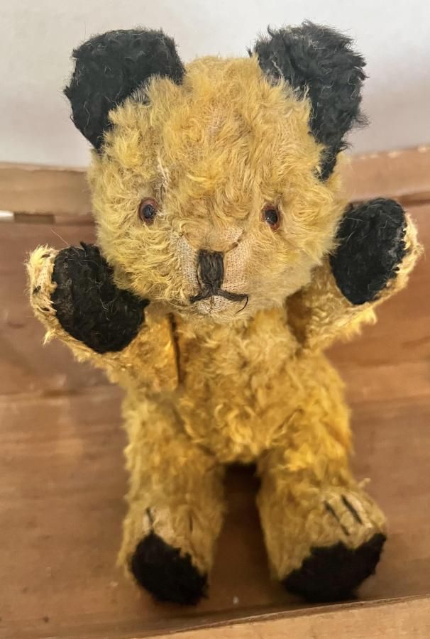 スーティー Sooty - アンティークとテディベアの店 Parade（パラード）