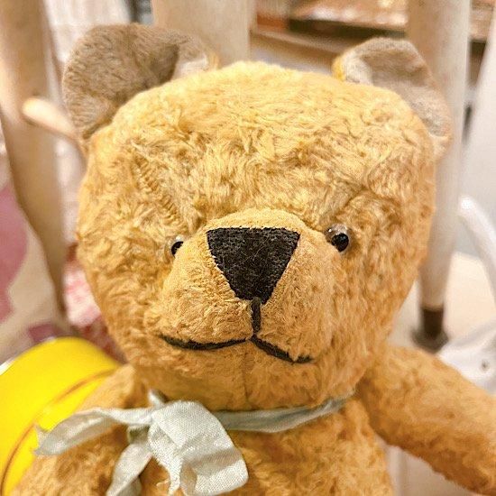 フランス1940〜'50年代 ＊ ビンテージベア ＊ 37cm ＊ 落ち着いた