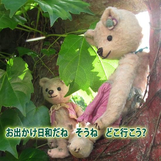 川人修身さんのブランド ＊ ” OSAMI BEAR ” ＊ チャリティーベア