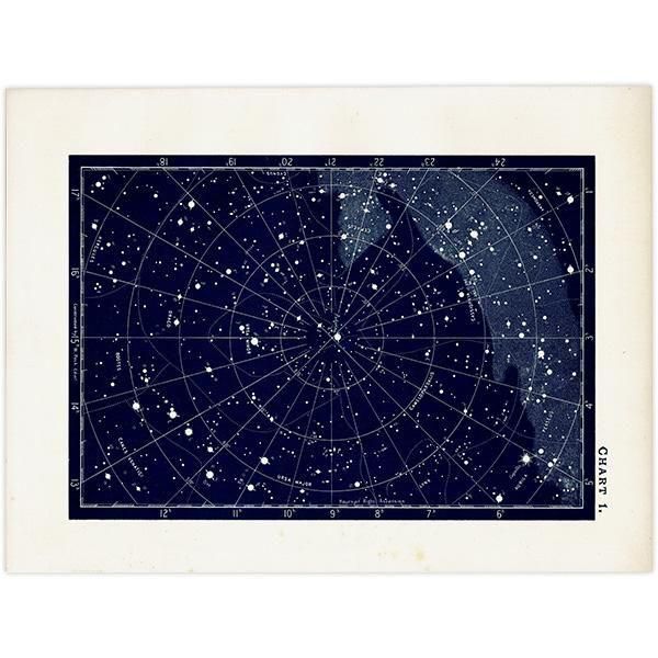 天文学】 天体図 きりん座、カシオペア座、ケフェウス座など 1890年