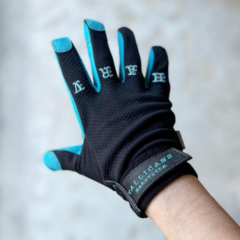 Harvesta! HABICOL（ハーベスタ！ハビコル）GRIPSWANY × VALLICANS