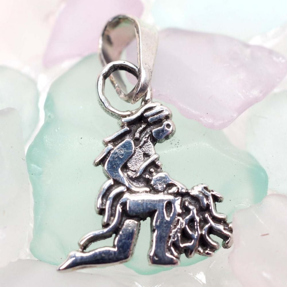 silver925☆12星座【みずがめ座】小さめペンダントトップ