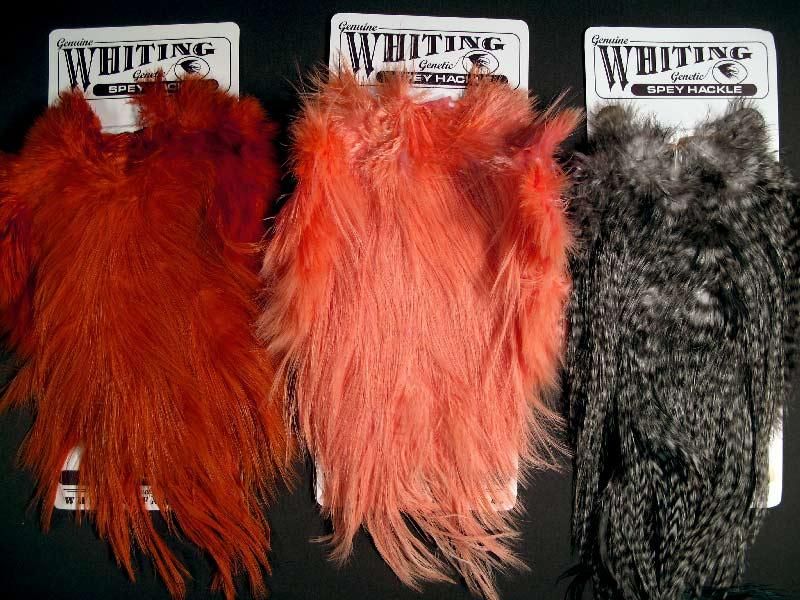 WHITING（ホワイティング） スペイハックルサドル各色 - フライ