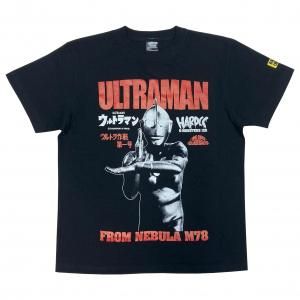 変身忍者 嵐(HENSHINNINJA ARASHI) - ホラーにプロレス！カンフーに