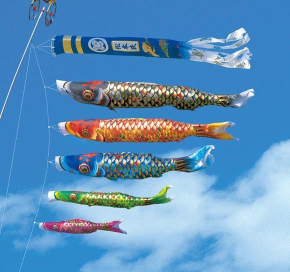 大類です。 こいのぼり 5m 6点セット かなめ鯉 koi-001-812_catch.jpg