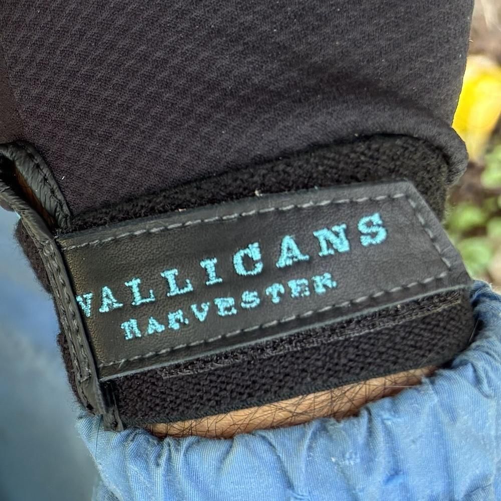 GRIPSWANY×VALLICANS 野外活動用グローブ - ホームーセンターバリカンズ