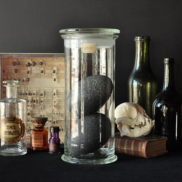 アンティーク標本瓶・3A/フランスアンティーク雑貨 ガラスボトル 大型