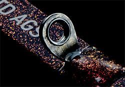 ダイワ クリスティア ワカサギ穂先 LTD AGS 誘惑335SS｜鮎釣り、渓流