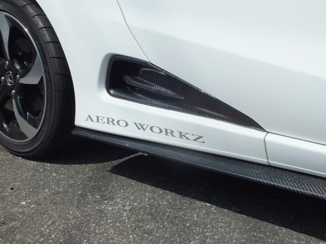 S660 カーボンサイドダクト - AEROWORKZ