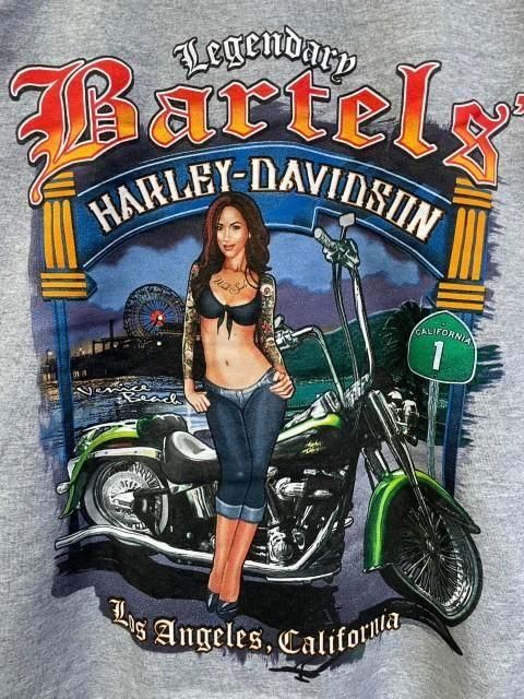 HARLEY-DAVIDSONハーレーダビッドソンB&Sジップパーカーgrey- 夜型大型