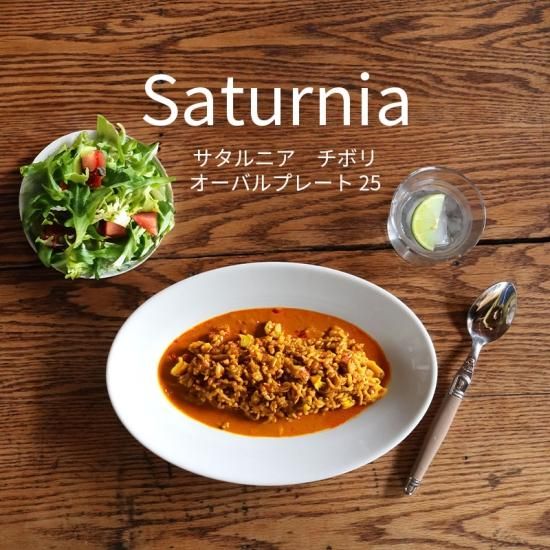 サタルニア | チボリ オーバルプレート 25cm - S T L O W - l i f e