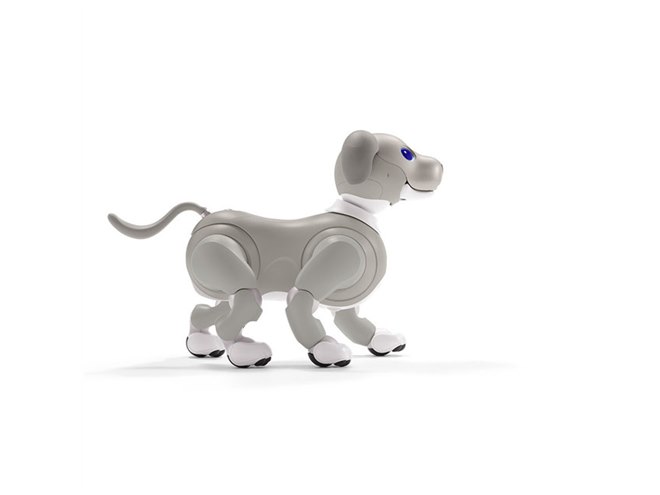 ソニー、aibo（アイボ）の2021年限定カラーモデル「aibo 黒ごま