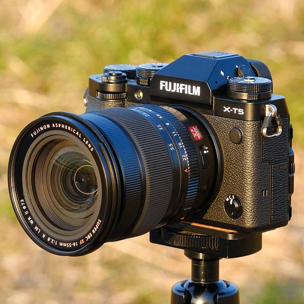 XF 16-55mm F2.8 R LM WR II」の人気商品一覧 | 安い商品を通販サイト