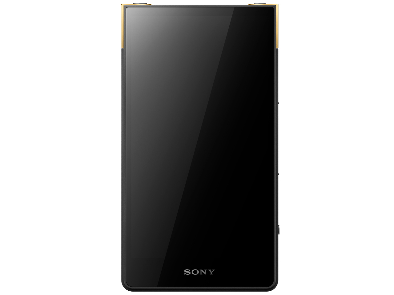 SONY NW-ZX507 [64GB] 価格比較 - 価格.com