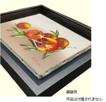 角箱 黒 F20号 | アクリル板の油彩額縁 - 額縁 - 激安通販 | 額の