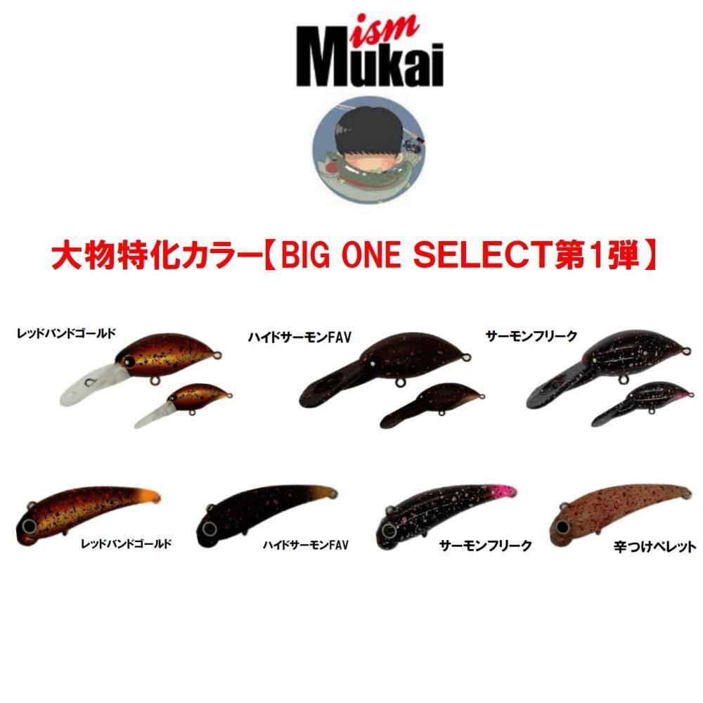 ムカイ 陰キャ、釣りにハマBIG ONE SELECT