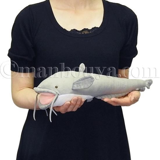 ナマズ ぬいぐるみ 魚 A-SHOW 栄商 わくわく図鑑 なまず 42cm - 海の