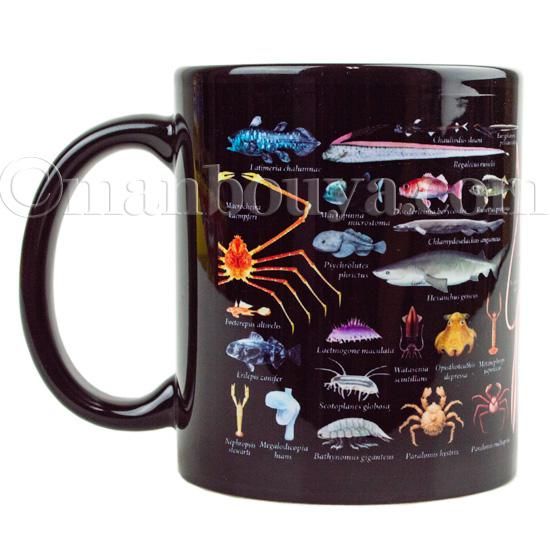 深海魚 グッズ マグカップ 大きい 黒 陶磁器 水族館 お土産 ザ