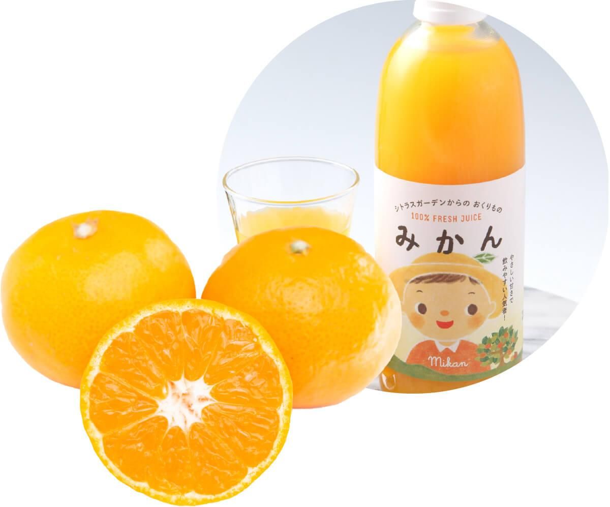 温州みかんジュース ストレート果汁 500ml シトラスガーデンからの
