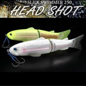デプス NEWスライドスイマー250 ヘッドショット