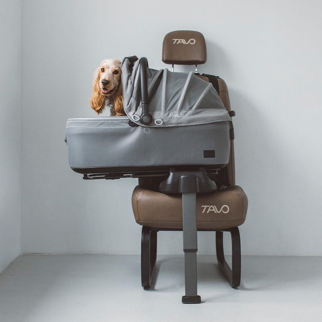 TAVO Maeve メイブ＋ベース 7R(MR)・7X - ドッググッズ・猫グッズ通販