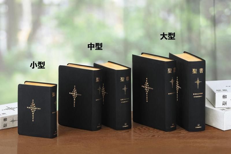 聖書協会共同訳小型聖書革装 SI48