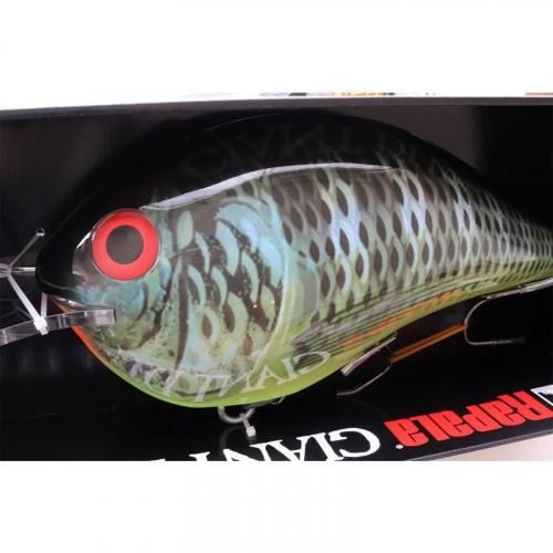 ラパラのジャイアント ルアー -DT- ｜アメリカン釣具通販NEST