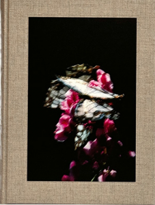 山上新平: KANON（サイン本）