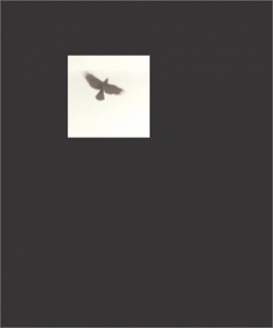Graciela Iturbide: Pajaros