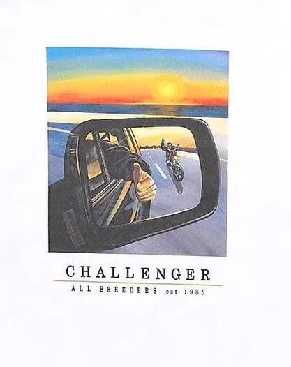 CHALLENGER L/S SUNSET DRIVE TEE - RELAX WEB