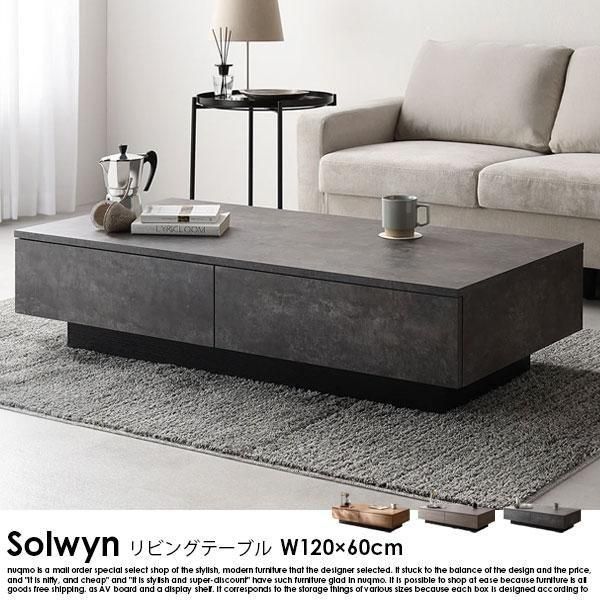 RASIK】引き出し付き センターテーブル Solwyn【ソルウィン】長方形