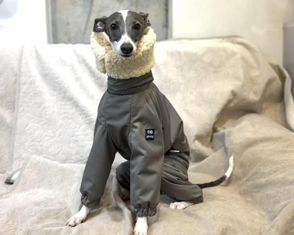 即納品可】スノースーツ（グレー） - イタグレ(イタリアングレー